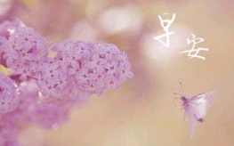 健康减肥早安的句子