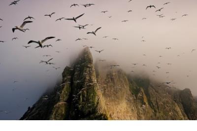 创业激励的话语 鼓励创业的经典语句