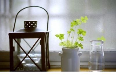 女生励志说说配图 不要自卑，不要自负，坚持自