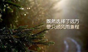早晨创业励志的句子