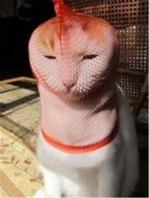 冬天还很热的幽默句子 形容夏天热的句子