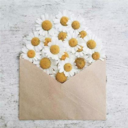 新年励志霸气的微信网名女 2020微信置顶霸气语录