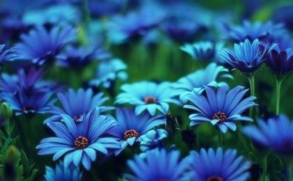 清晨最美问候语 早晨励志语录正能量