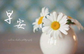 早安最美图片和最美的句子2020