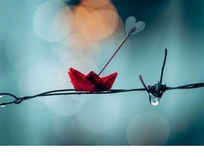 抖音情话短句十字以内