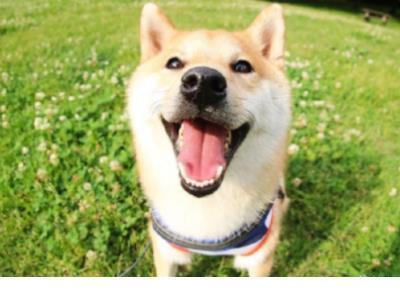 抖音情话短句十字以内