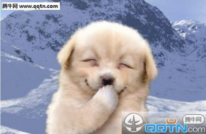在乎一个人的说说 心里在乎古诗表达