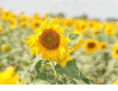 适合qq空间的说说 qq个性签名大全