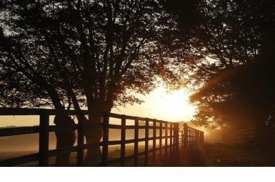 一个人在家的心情签名 一个人心情说说