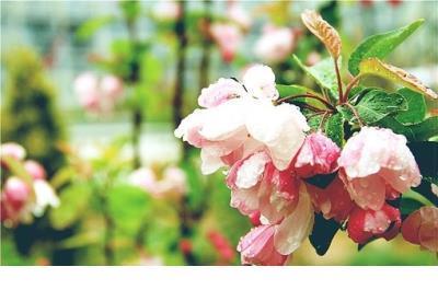 关于早起的励志句子