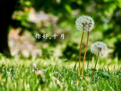 关于早起的励志句子