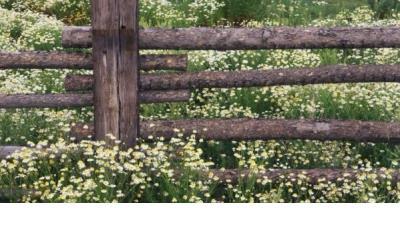 旅游说说心情短语 失恋后的心情说说