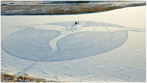 每日心灵鸡汤100字