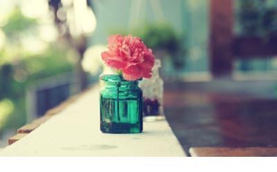 每日心灵鸡汤100字