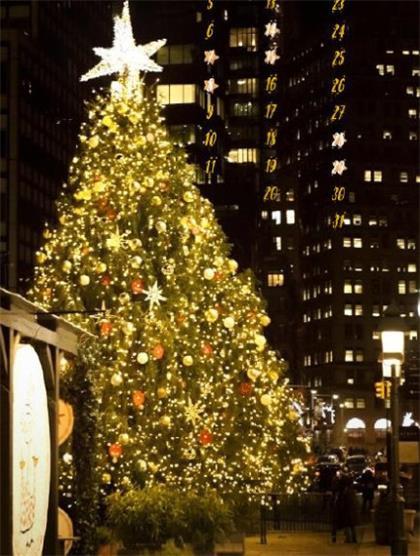 女人要靠自己励志说说 人不可向幼年人学习,也