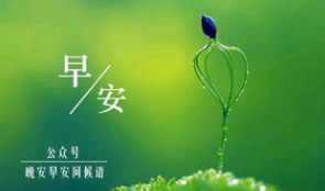 给正在追求女孩子的周末早安句2