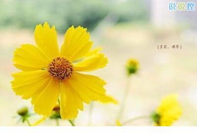 男人奋斗励志的句子说说心情 ”“什么店？”“