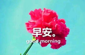 带早安的句子励志语录