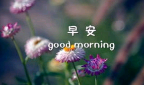 早安温馨问的句子是