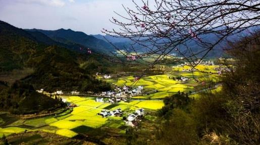 八个字 早起励志文案