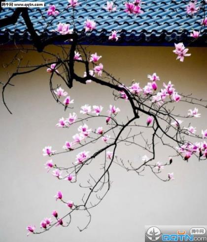 2020微信说说图片 微信经典说说带图片