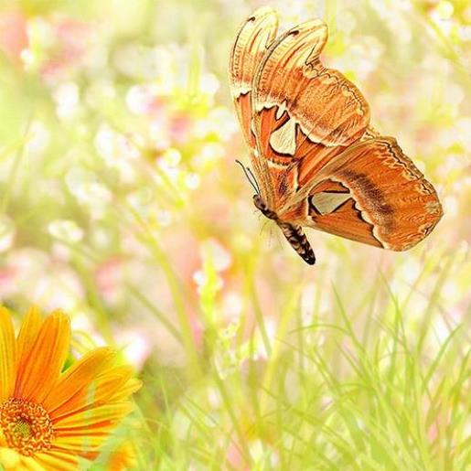 2020微信说说图片 微信经典说说带图片