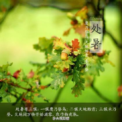 鞋店元旦打折广告词 鞋店处理鞋广告词