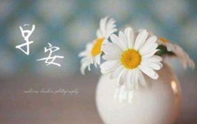 微商发早安句子