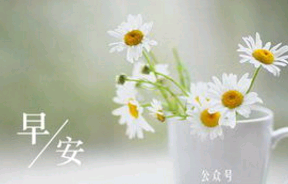 早安花草句子