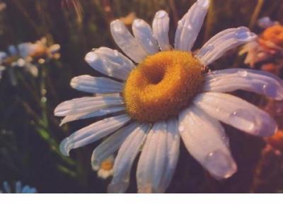 生活的句子发朋友圈