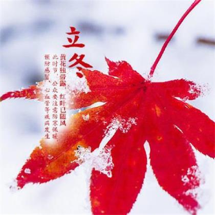 对喜欢的人说的暖心话