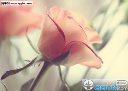 适合发朋友圈的励志句子 微信朋友圈励志的短句