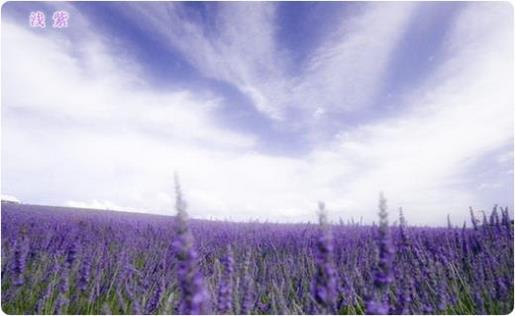 鼓励业务员励志的话