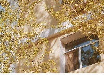 人生感悟的句子 正能量激励人的好句子