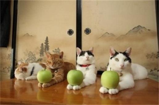 销售朋友圈有趣的句子 做销售适合发朋友圈的句