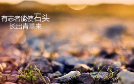 淡到极致的励志句子