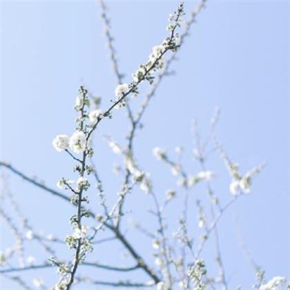 伤心绝望的签名 绝望的说说句子