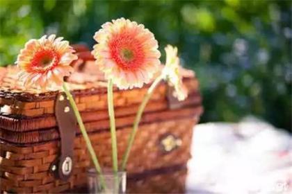 一个人的说说心情短语 无处可去的意思