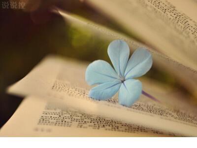 微信说说大全励志 路足矣忘事得春，志足矣起起