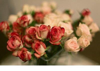 早晨励志语录正能量图片