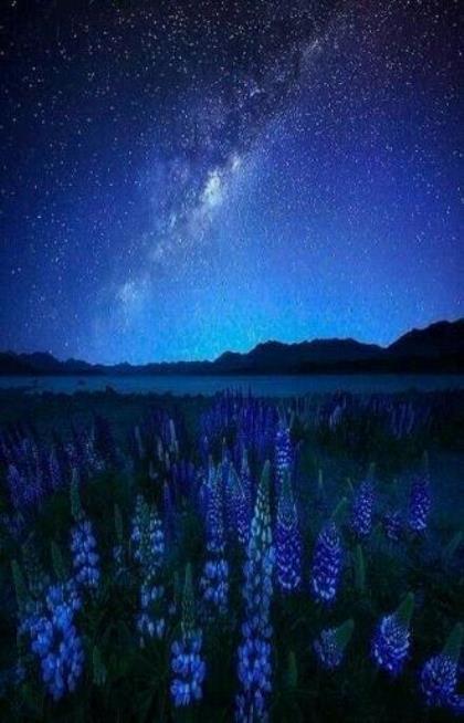 想睡觉的句子微信说说短语签名