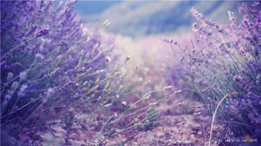 对他失望的心情说说 心灵鸡汤心情