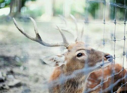 适合半夜发的说说配图 励志说说大全带图片
