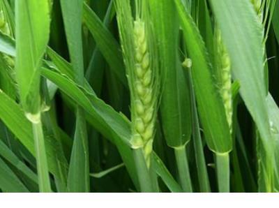 深夜睡不着的朋友圈说说心情短语 确保饮料是无