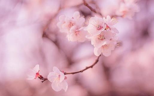 深夜睡不着的朋友圈说说心情短语 确保饮料是无