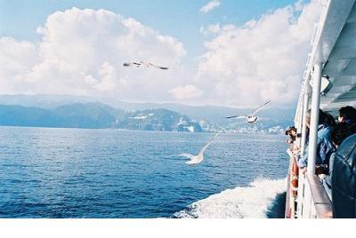 微信朋友圈怎么评论表情包 朋友圈励志句子带图