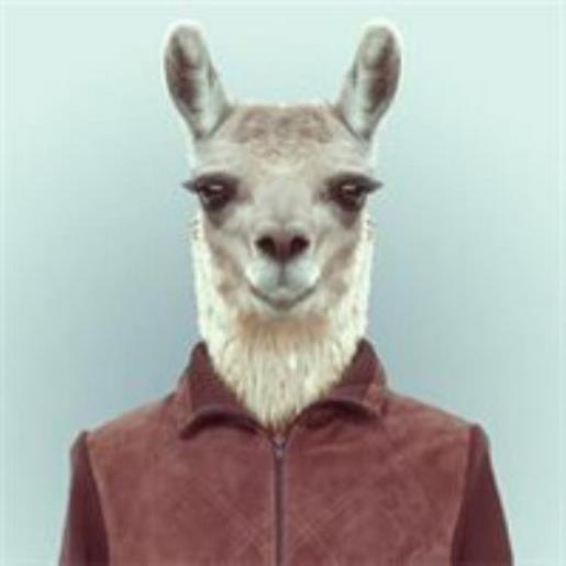 太颓废怎么发朋友圈 甜品语录朋友圈句子