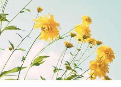 去海边发表的心情说说 想去海边的心情句子