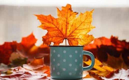 不忘初心励志短句 励志句子简短