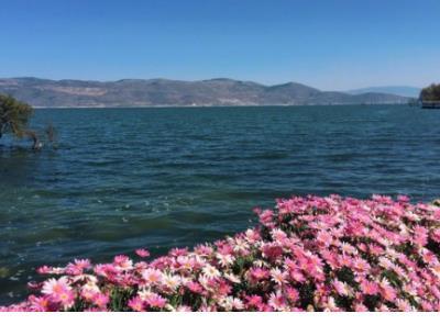 跟员工跨年励志句子 跨年长篇说说